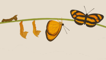 Your Role in the Transformation of Your Business