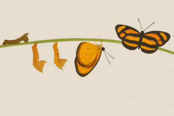 Your Role in the Transformation of Your Business