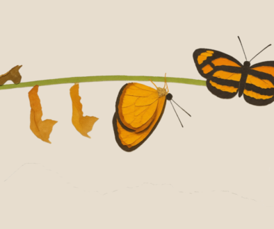 Your Role in the Transformation of Your Business